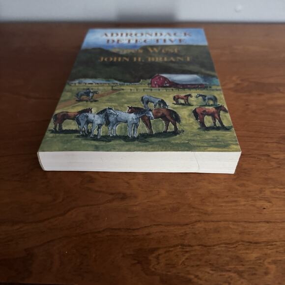 John Briant The Adirondack Detective Series Lot of 3 Trade Paperback One Signed - Picture 14 of 16